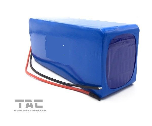 Lithium Iron Phosphate Battery Pack 12V With Housing  for E Vehicle And E Car