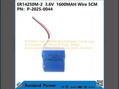 ER14250M-2  3.6V  1600MAH Wire 5CM Battery Can Be Used In Instruments, The Internet Of Things , Wireless Communication, Medical Electronic Equipment, And More.